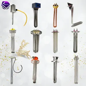 BRIGHT Customized 220V 110V 300W 36V 4000W 3KW 6KW 9KW Heater Tubular Electric Immersion Water Heater