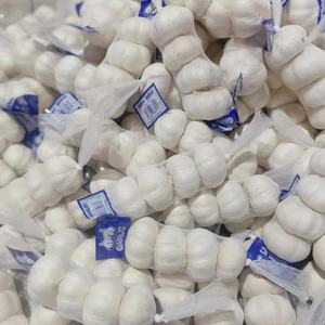 Ajo Fresco para África, Ail Frais Pour L'Afrique Australe, Tarifas Competitivas y Envío Rápido - Product Image 6