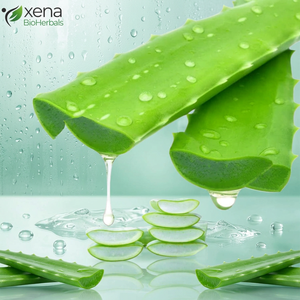 Alovera Gel Bulk Wholesale 100% Natural Pure Alovera Gel Organic Alovera Gel Private Label Manufacturer - Product Image 1