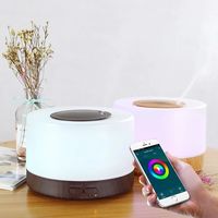 Diffuseur d'aromathérapie anti-fuite d'eau Humidificateur Diffuseur d'arômes Désodorisant Nébuliseur ultrasonique Diffuseur portable pour la maison