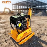 Compacteur à plaques vibrantes GZD personnalisable – Options de marquage sur mesure, moteur essence ou diesel
