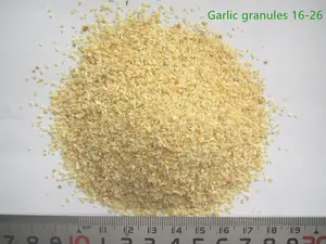 Dried Garlic Size 40-60 Mesh Grade A