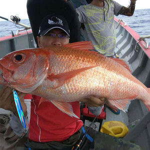 RUNTOO-SEÑUELOS luminosos UV <span class=keywords><strong>para</strong></span> <span class=keywords><strong>pesca</strong></span> <span class=keywords><strong>de</strong></span> lubina, 60g, 80g, 120g, 150g, 200g, 250g - Product Image 6