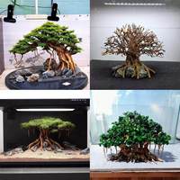 Bois flotté, arbre brésilien, branche de Thaïlande, arbre paysager pour aquarium, souche d'arbre, spécial pour petit aquarium, décoration de salon