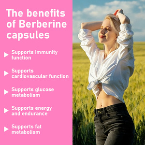 Cápsulas de Berberina de Buena Calidad OEM ODM, Suplemento Dietético, Aumenta la Actividad Antioxidante y Apoya la Función del Sistema Inmunitario - Product Image 3