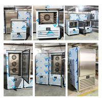 Réfrigérateur de cuisine pour fruits de mer -45 °C en acier inoxydable 304, congélateur rapide à air pulsé à 10 plateaux pour congélation ultra-rapide