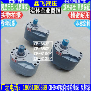 CB-B63F B80F B100F B125F High Pressure Reverse Gear Oil <b>Pump</b> for <b>Hydraulics</b> Applications - Product Image 1