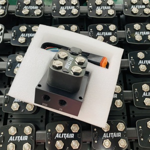 <span class=keywords><strong>Vannes</strong></span> à deux voies de type AA-VU2 ALITAIR pour suspension pneumatique AIR LIFT AIR SUSPENSION VALVE pour voiture, camion, remorque - Product Image 4