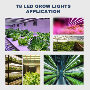 Lámpara de Cultivo LED de Espectro Completo de 650W, IP65, Alta Capacidad Fotossintética, Regulable, Ahorro de Energía, Duradera, para Crecimiento Vegetativo y Floración en Interiores - Product Image 6
