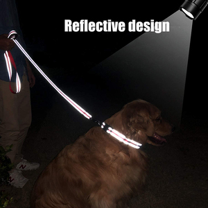 OEM guinzaglio per cani in Nylon imbottito piccolo medio grande riflettente Training piombo alla moda durevole stile semplice decorazione a nastro - Product Image 5