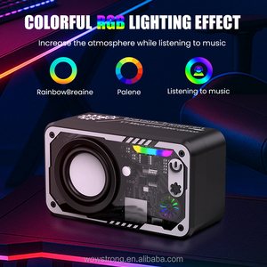 Altavoz BLE decorativo para hoteles, regalo de bienvenida personalizado para invitados, suministros de marca de servicio completo/Solución de regalo, soporte OEM / ODM - Product Image 5