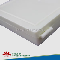 Individual human System Pathology prepared microscope slides ,human pathology slides