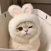 Haustier-Kostüme Niedlicher Einfarbiger Plüsch-Bärenhut für Katzen & Hunde - Weihnachtshut für Alle Jahreszeiten Verstellbares Langlebiges Haustierzubehör