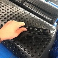 Planche géocomposite de drainage avec couche filtrante en géotextile non tissé, feuille alvéolée en HDPE pour système de drainage des eaux souterraines
