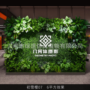 Panel de plantas artificiales Greenway de 6 metros cuadrados, césped artificial, letrero decorativo con plantas para decoración de interiores - Product Image 1