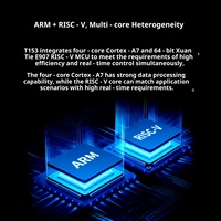 Placa de Desarrollo Feiling Integrada Allwinner T153 OK153-S12 + Arquitectura Heterogénea Multinúcleo RISC-V con 3 Puertos Gigabit