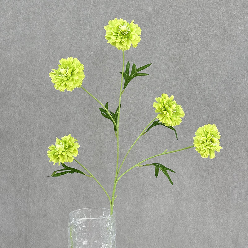 แอปเปิ้ลเขียว