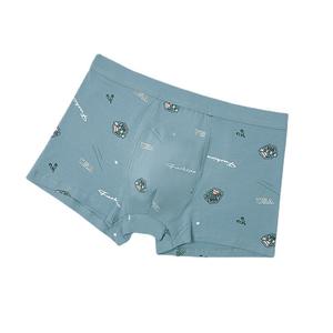 Boxers pour hommes, sous-vêtements, caleçons imprimés pour hommes, caleçons pour hommes, sous-vêtements de sport pour hommes, ensemble sexy, caleçon grande taille - Product Image 5