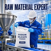 Poudre de silicate de sodium de haute pureté (Na2SiO3) CAS 1344-09-8, poudre de verre de soude pour la fabrication de savon, le nettoyage industriel et le dégraissage