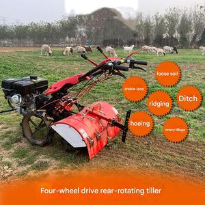 <span class=keywords><strong>Motoculteur</strong></span> rotatif avec rouleau <span class=keywords><strong>pour</strong></span> le nivellement du sol après le travail du sol dans les terres agricoles et les jardins - Product Image 6