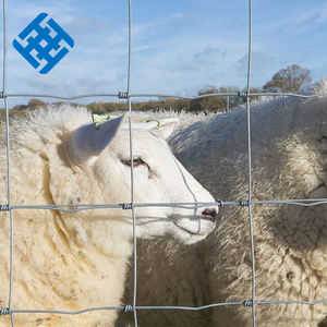 Clôture de jeu galvanisée Clôture de terrain à 18 fils Grillage de fer pour panneaux de clôture de ferme Prix de gros - Product Image 6