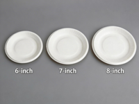 Assiettes jetables biodégradables en bagasse de canne à sucre de 6 pouces – Écologiques, robustes, sans bois, sûres et compostables – Vaisselle en bagasse liquide
