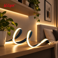Bande LED COB personnalisable de 5 m, CRI élevé 90, 3000K 4000K 6000K, ruban flexible pour l'éclairage des vitrines de galerie