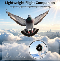 Traceur GPS pour oiseaux, étanche IP67, bague pour pigeon, mini localisateur Bluetooth/WiFi, autonomie de 30 jours pour une trajectoire de vol en temps réel