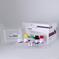 ELISA de compétition de type O FMD