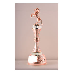 JY superventas artesanías <span class=keywords><strong>de</strong></span> cristal <span class=keywords><strong>de</strong></span> gran tamaño competición deportiva personalizada trofeo <span class=keywords><strong>de</strong></span> Metal ecuestre trofeo <span class=keywords><strong>de</strong></span> premio <span class=keywords><strong>de</strong></span> oro con caja <span class=keywords><strong>de</strong></span> regalo - Product Image 6