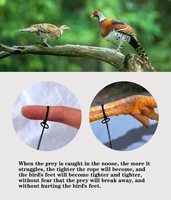 Filet anti-oiseaux, fournitures de jardinage, cage à oiseaux, piège à pigeons