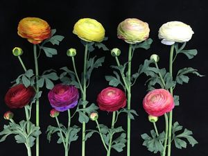 センマシーヌ高品質の家の装飾複数の色大2頭レイヤードリアルタッチ牡丹人工牡丹シルクフラワー - Product Image 4