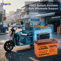 Batterie LiFePO4 Haute Qualité 12V100AH pour Fauteuil Roulant Électrique, Charge Rapide, Protection Contre les Surcharges, pour Fauteuil Roulant Hospitalier, IP67 CE