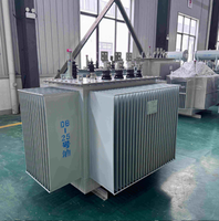 Transformateurs immergés dans l'huile S20 triphasés 50/60 Hz 6,6 kV 10 kV 11 kV vers 400 V 1250 kVA 2000 kVA 2500 kVA