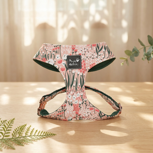 Small Size Cotton Comfortable Fashion <b>Dog</b> Harness Cat Harness Cute Fashion Adjustable Cute Buckle Closure for Pet Owners - Product Image 1