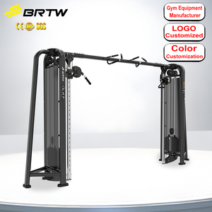 Machine d'entraînement multifonctionnelle pour oiseaux volants de grande taille <span class=keywords><strong>Brightway</strong></span>, machine d'entraînement complète en intérieur - Product Image 1