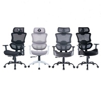 Prix incroyable chaise de bureau ergonomique moderne coussin éponge chaise de bureau en maille exécutive