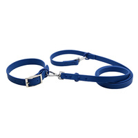 Ensemble collier et laisse pour chien en PVC de qualité supérieure, imperméable, durable, réglable, pour la promenade des chiens, OEM personnalisé
