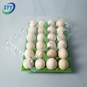 En Çok Satan 24 Bölmeli, İstiflenebilir, Dayanıklı Renkli Plastik Yumurta Kutuları Plastik Yumurta Tepsisi - Product Image 2