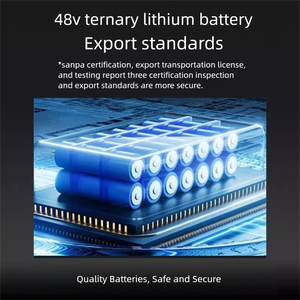 Vehículo <span class=keywords><strong>de</strong></span> <span class=keywords><strong>Transporte</strong></span> Eléctrico <span class=keywords><strong>de</strong></span> Servicio Pesado para Escalada <span class=keywords><strong>de</strong></span> Metales, Diseño <span class=keywords><strong>de</strong></span> Plataforma para Uso Doméstico, Orugas <span class=keywords><strong>de</strong></span> 4 Ruedas, Carga <span class=keywords><strong>de</strong></span> 400 kg, OEM - Product Image 4