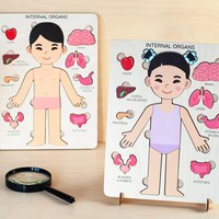 Juguete de anatomía Montessori para niños, rompecabezas educativo de órganos internos con capas, para preescolar