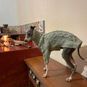 Suéter de Invierno para Mascotas, Cuello Alto, Algodón de Alta Gama, Color Verde Grisáceo, Tejido Grueso <span class=keywords><strong>con</strong></span> Líneas Trenzadas, para Perros Italian Greyhound y Whippet - Product Image 3