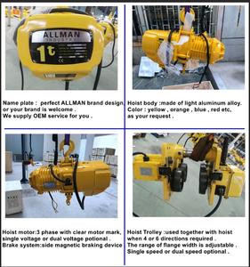 Palan électrique à chaîne triphasé ALLMAN certifié CE série 1t 2t 3t 3t 3t 5t 220V 380V 440V - Product Image 2