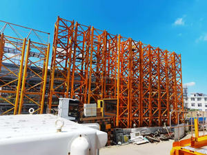 Grúa Torre de Plataforma Plana de Segunda Mano, Modelo 6015, de una Marca China Reconocida, con una Capacidad de Elevación Máxima de 8 Toneladas. - Product Image 4