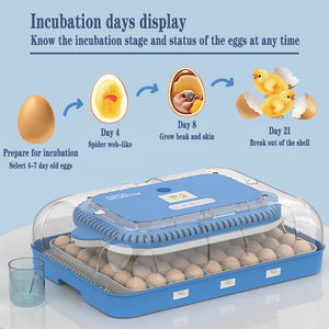 Yumurta kuluçka küçük ev kuluçka 70 adet tam otomatik akıllı inkübatör - Product Image 5