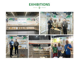 500 bâtonnets en papier blanc de 6 pouces pour sucettes, Halloween, DIY, pour décorations de gâteaux et chocolats - Product Image 6