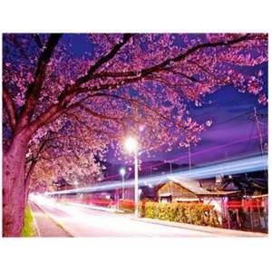 Peintures murales avec fleurs, numérotés, art canvas, toile, vente en gros, art - Product Image 3