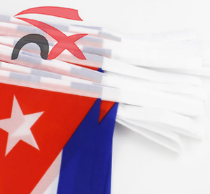 La Chine fournit un nouveau produit drapeau de <span class=keywords><strong>vacances</strong></span> chaîne de polyester drapeau de bruant de <span class=keywords><strong>Cuba</strong></span> pour la décoration - Product Image 2