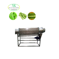 Hete Aanbieding Automatische Motorisch Aangedreven RVS Snijmachine voor Groene Bonen, Kopjesverwijderaar, Gemenvoorbereidingsinstallatie, Eenvoudig in Gebruik