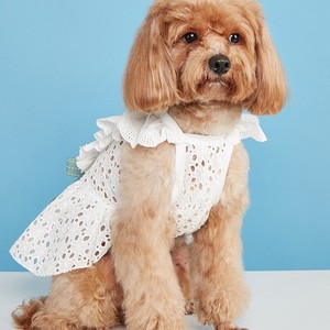Lindo Vestido de Encaje para Perro con Lazo Verde, Estilo Princesa, Ropa Transpirable de Primavera para Perros, Blanco - Product Image 2